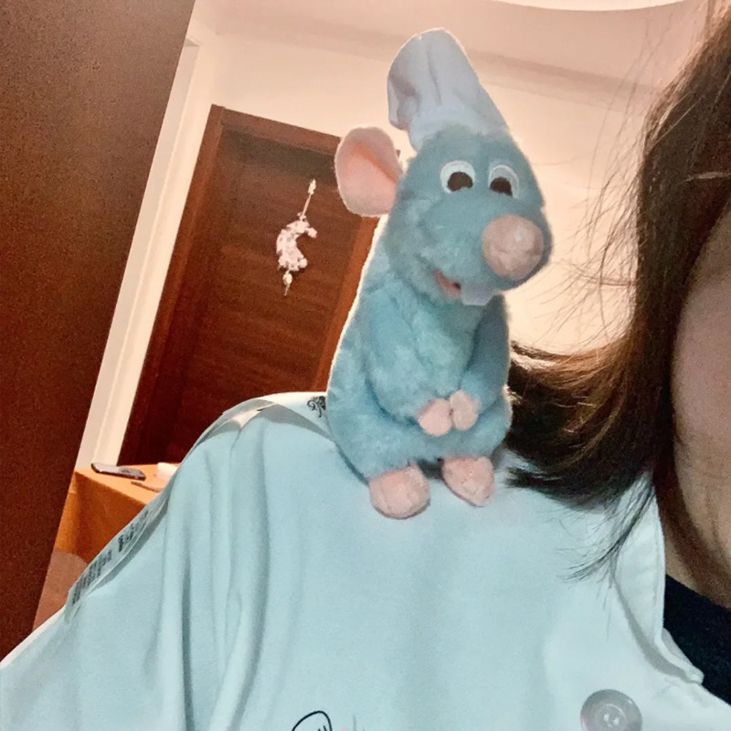 Peluche magnétique Remy le che - Nursery avis et prix